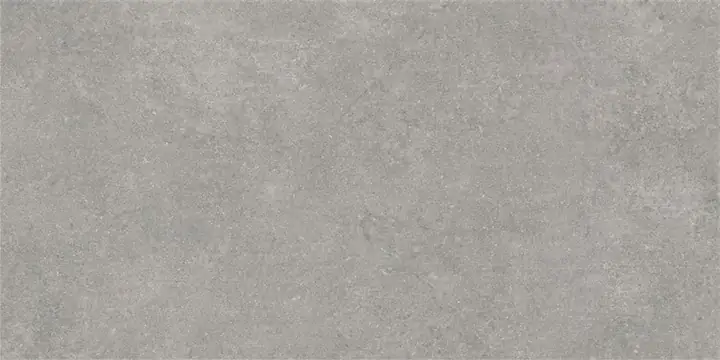 60x120 Newcon Серебристо-серый Матовый R10A