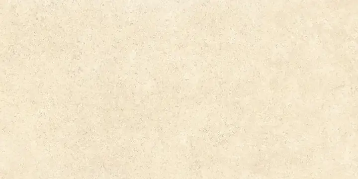 60х120 SandStone Песочный Матовый R10A Ректификат